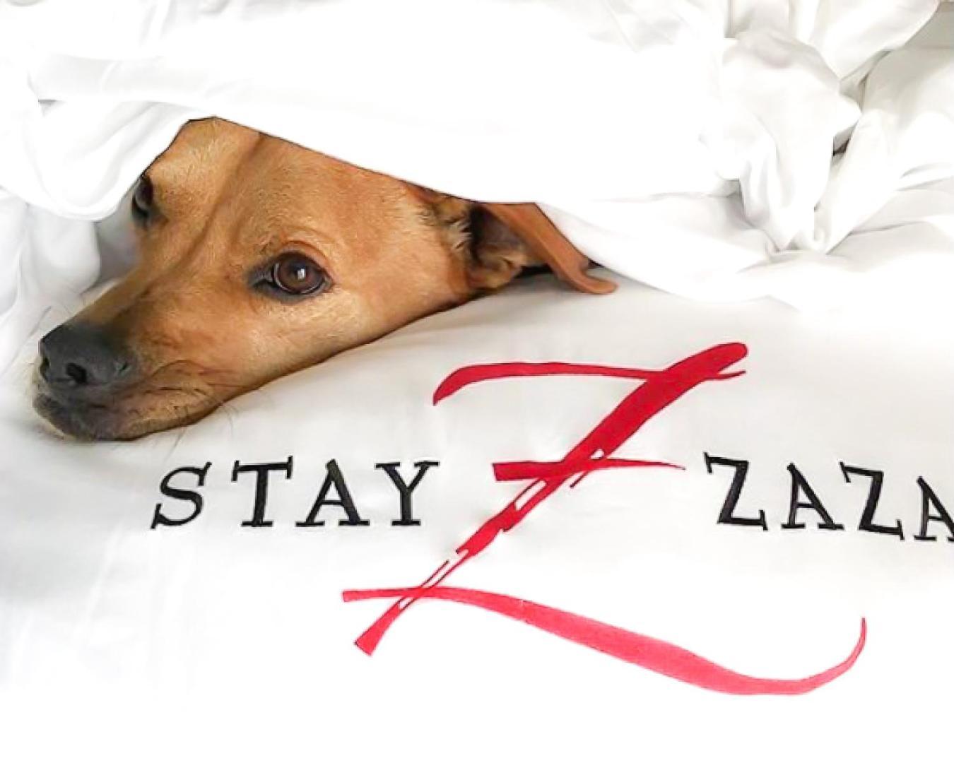 Hotel Zaza Όστιν Εξωτερικό φωτογραφία
